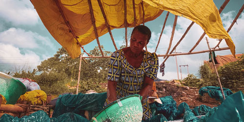 image for On Nigeria